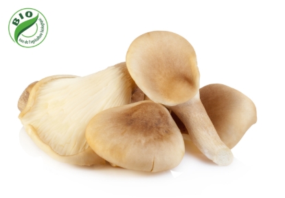 Image de Champignon pleurote - (250g)