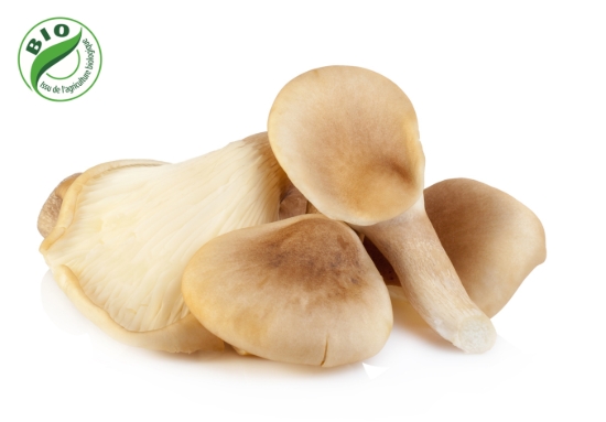 Image de Champignon pleurote - (250g)