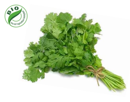 Image de Jeunes pousses - (à l'unité)