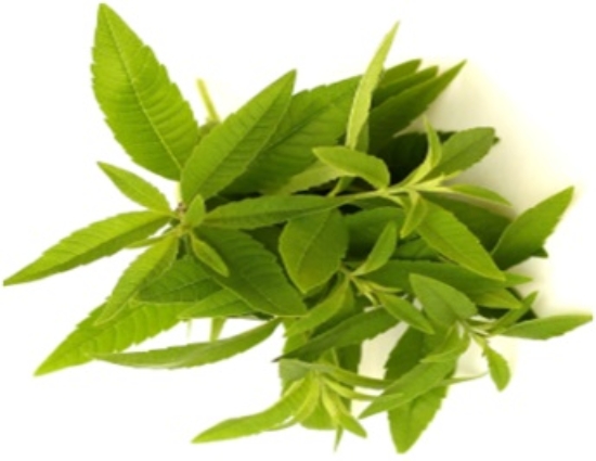 Image de Verveine - (à l'unité)