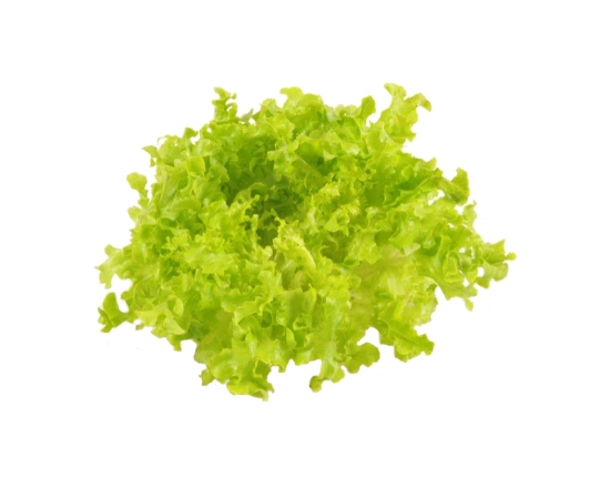 Image de Salade feuille de chêne verte - (100g)