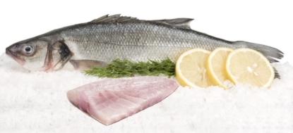 Image de Loup bar - Entier éviscéré (250g à 350g) - (au Kg)