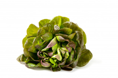 Image de Laitue rouge - (300g)