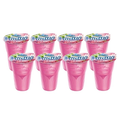 Image de Pack Raïbi grenade - (8*170g)