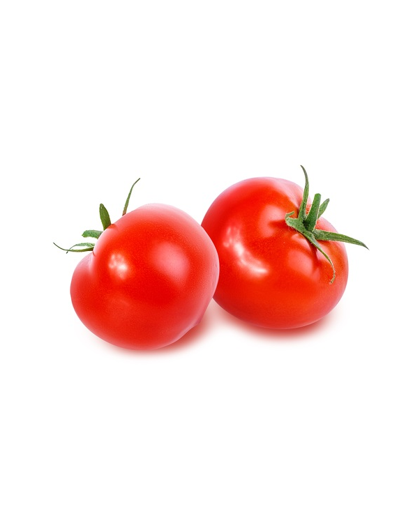 Tomate ronde BIO