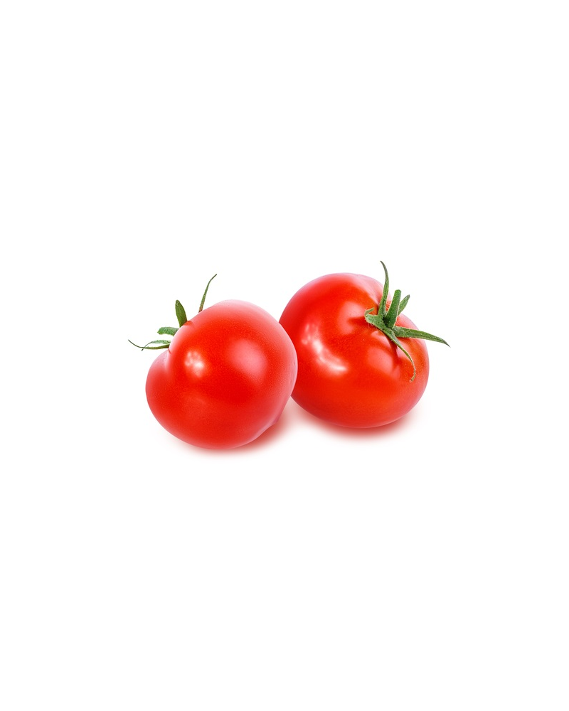 Tomate ronde BIO