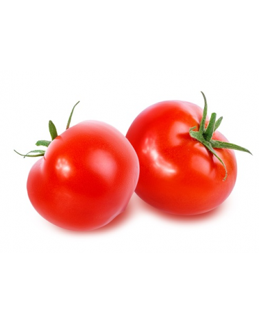 Tomate ronde BIO