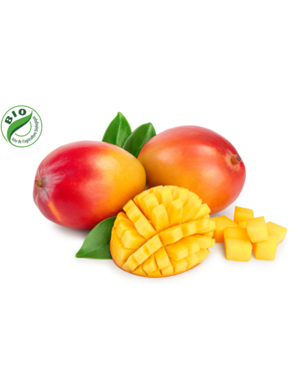 Mangue avion