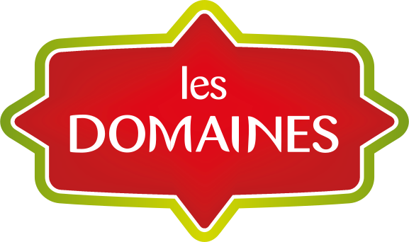 Boutique LES DOMAINES logo