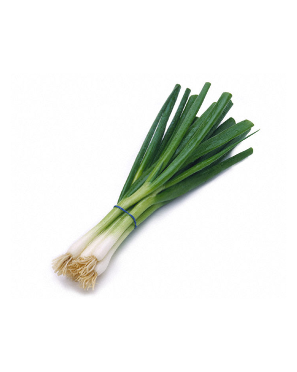 Oignon frais